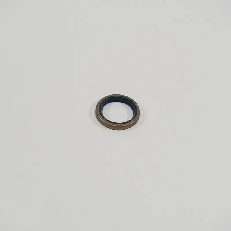 Carraro Dichtring