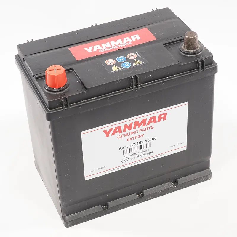 Original Batterie von Yanmar